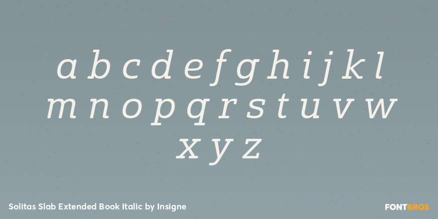 Solitas Slab Extended Book Italic Font Poster #3