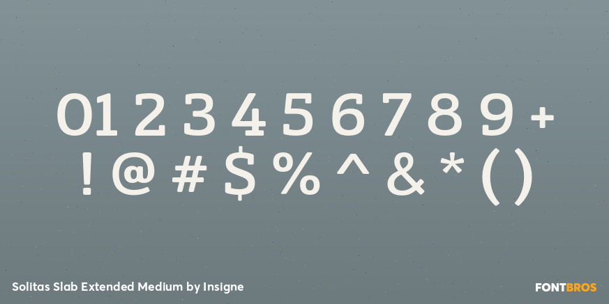 Solitas Slab Extended Medium Font Poster #1