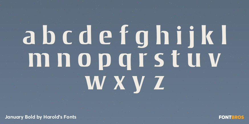 January Bold Font Poster #3