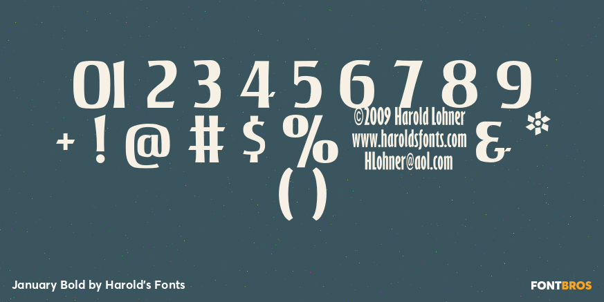 January Bold Font Poster #4