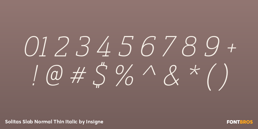 Solitas Slab Normal Thin Italic Font Poster #1