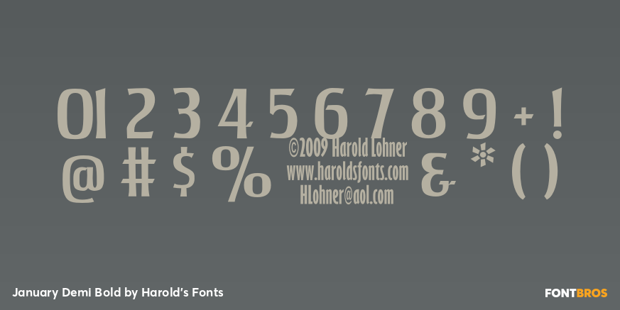 January Demi Bold Font Poster #4