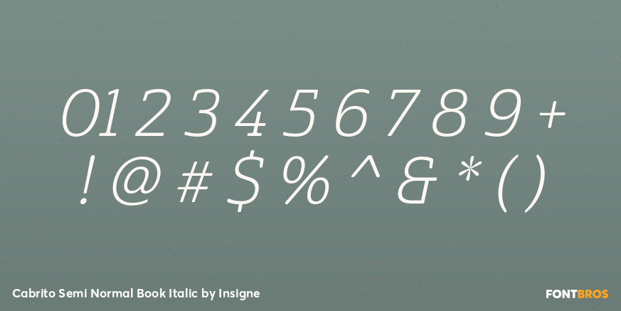 Cabrito Semi Normal Book Italic Font Poster #4