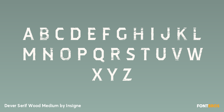 Dever Serif Wood Medium Font Poster #3
