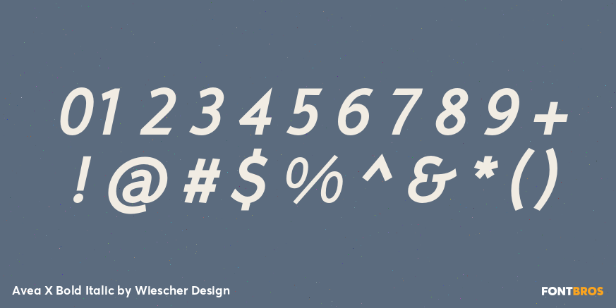 Avea X Bold Italic Font Poster #1