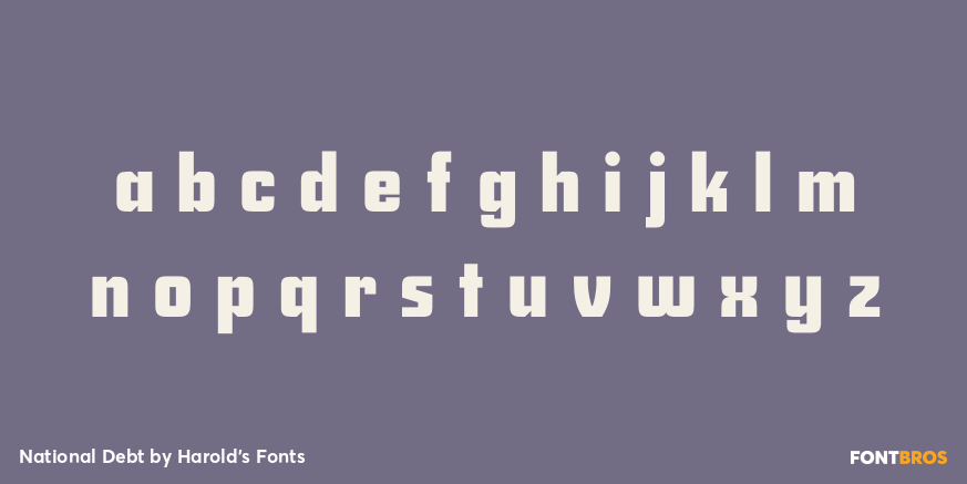 National Debt Font Poster #3