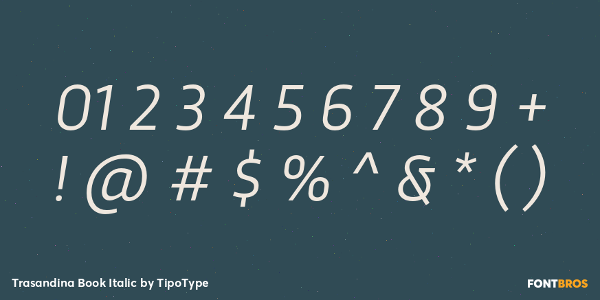 Trasandina Book Italic Font Poster #1