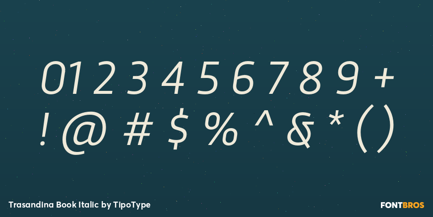 Trasandina Book Italic Font Poster #4