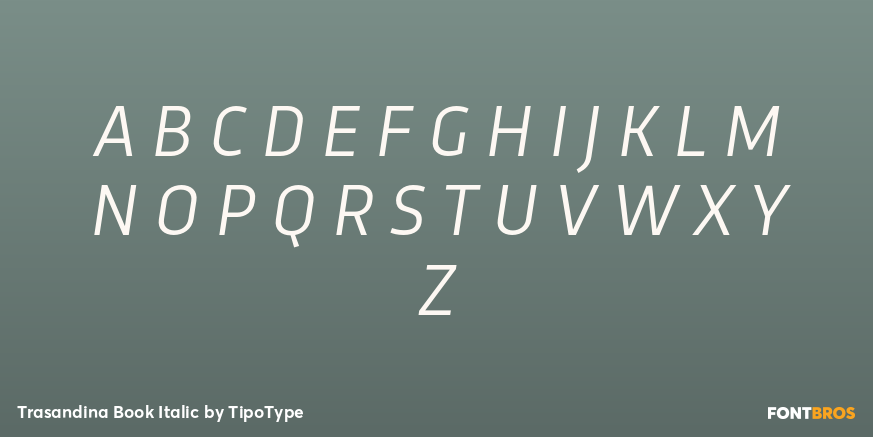 Trasandina Book Italic Font Poster #1