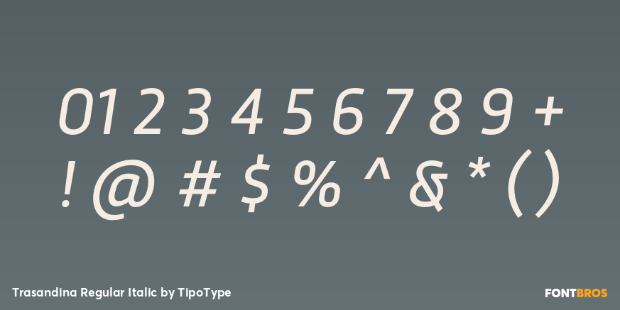 Trasandina Regular Italic Font Poster #4