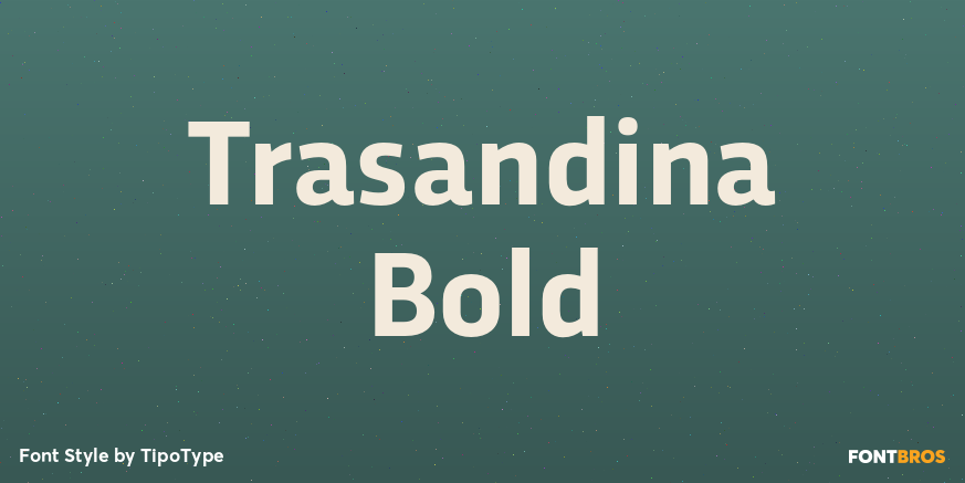 Trasandina Bold Font Poster #1