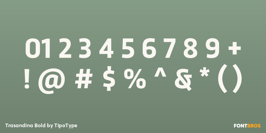 Trasandina Bold Font Poster #1