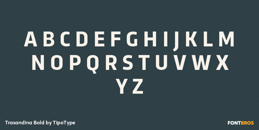 Trasandina Bold Font Poster #1