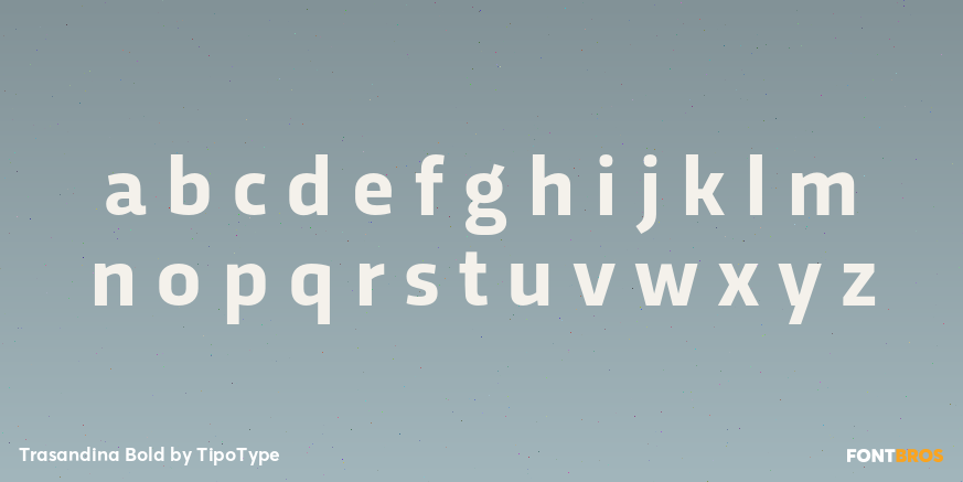 Trasandina Bold Font Poster #1