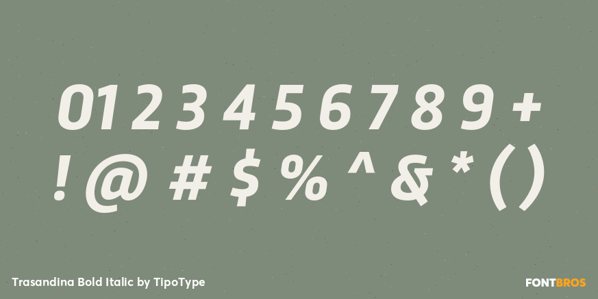 Trasandina Bold Italic Font Poster #1
