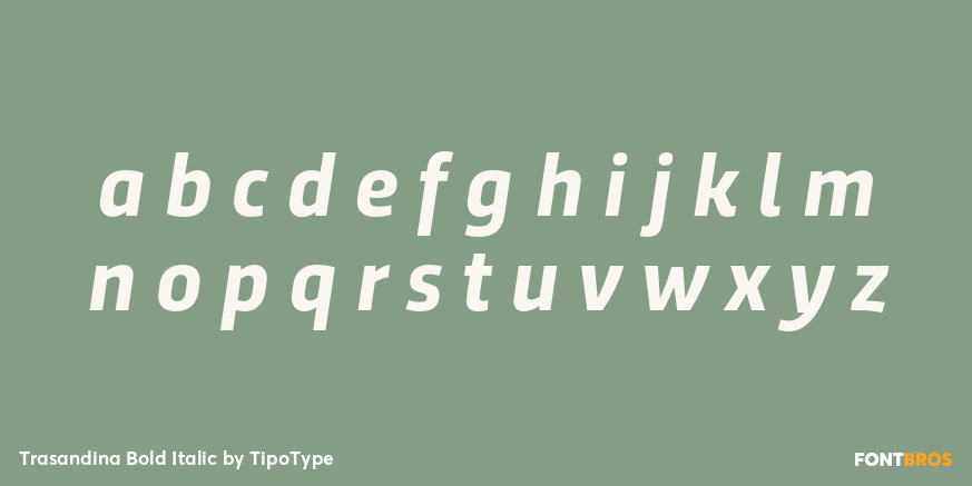 Trasandina Bold Italic Font Poster #1