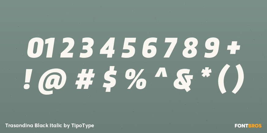 Trasandina Black Italic Font Poster #1