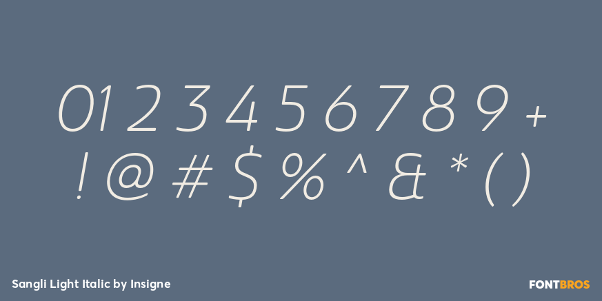 Sangli Light Italic Font Poster #4