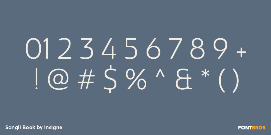 Sangli Book Font Poster #1