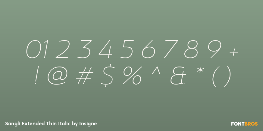 Sangli Extended Thin Italic Font Poster #4