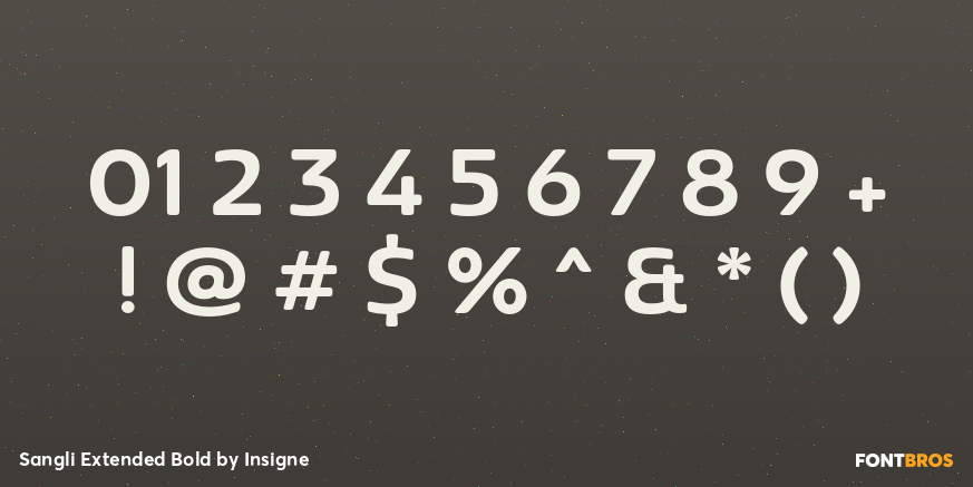 Sangli Extended Bold Font Poster #1