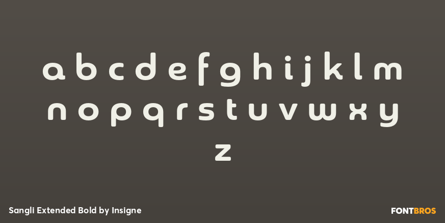 Sangli Extended Bold Font Poster #1