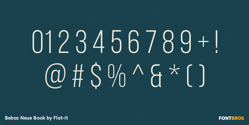 Bebas Neue Book Font Poster #1