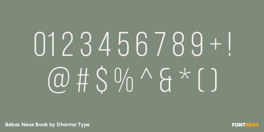 Bebas Neue Book Font Poster #4