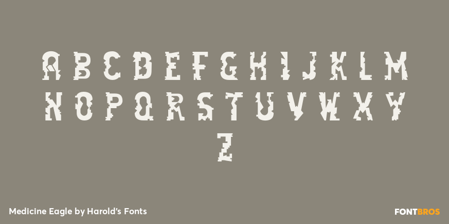 Medicine Eagle Font Poster #2