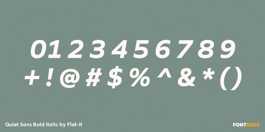 Quiet Sans Bold Italic Font Poster #1