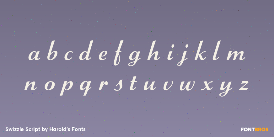 Swizzle Script Font Poster #3