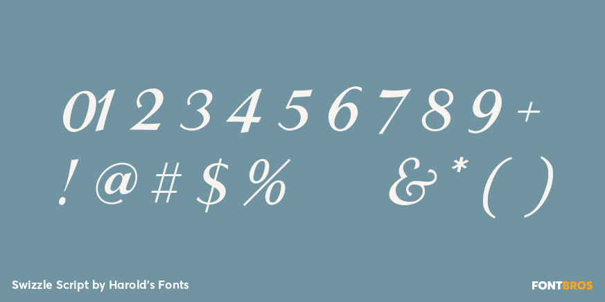 Swizzle Script Font Poster #4