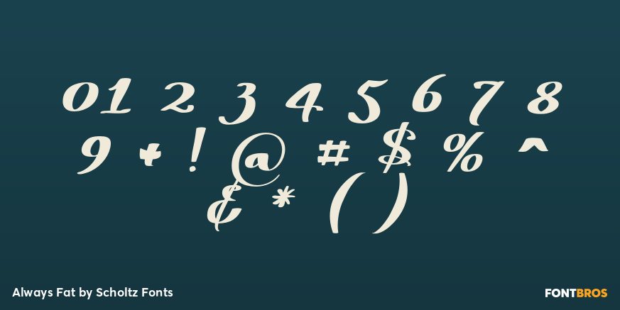 Always Fat Font Poster #4