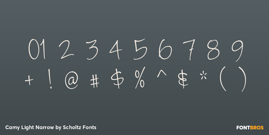 Camy Light Narrow Font Poster #4