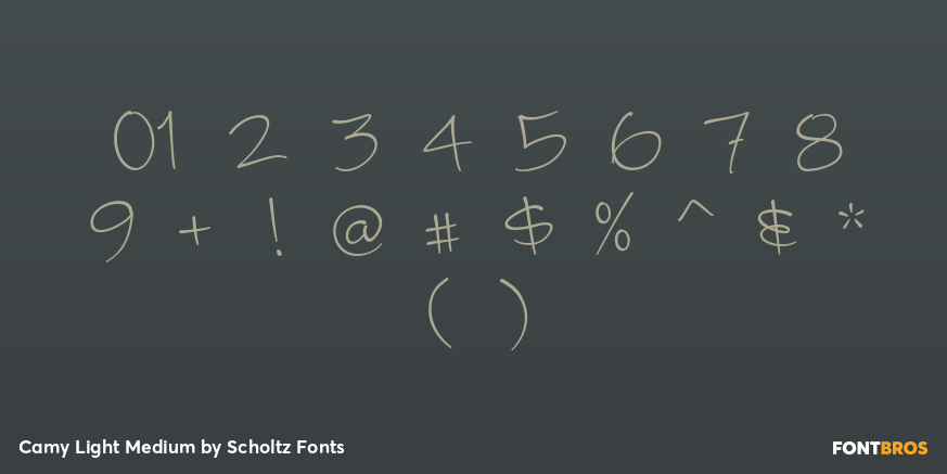 Camy Light Medium Font Poster #4