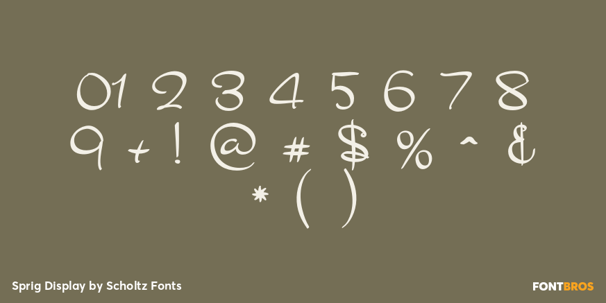 Sprig Display Font Poster #4