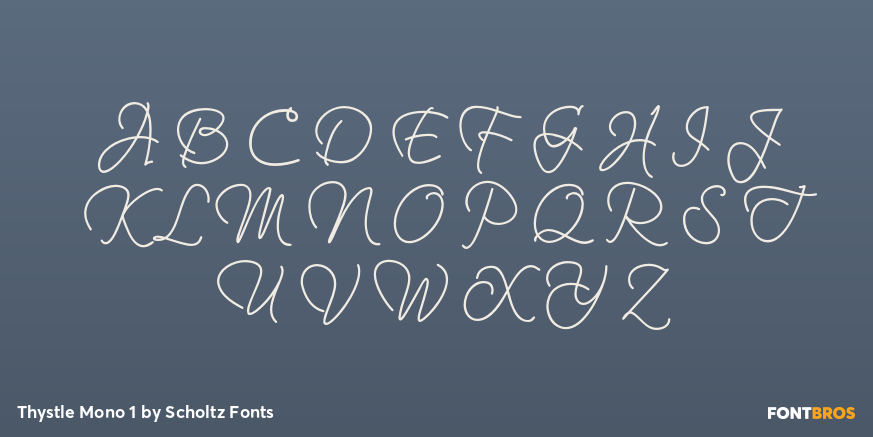 Thystle Mono 1 Font Poster #2