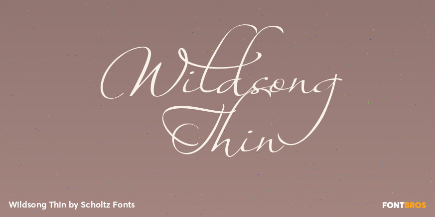 Wildsong Thin Font Poster #1
