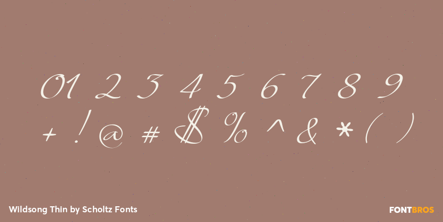 Wildsong Thin Font Poster #4