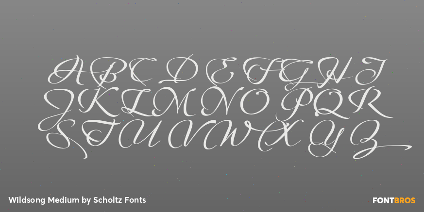 Wildsong Medium Font Poster #2