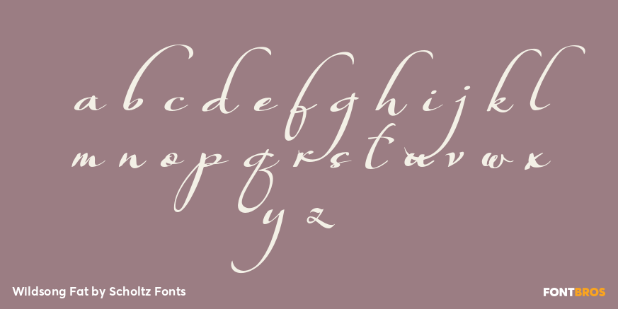 Wildsong Fat Font Poster #1