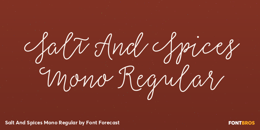 Salt And Spices Mono Regular Font Poster #1