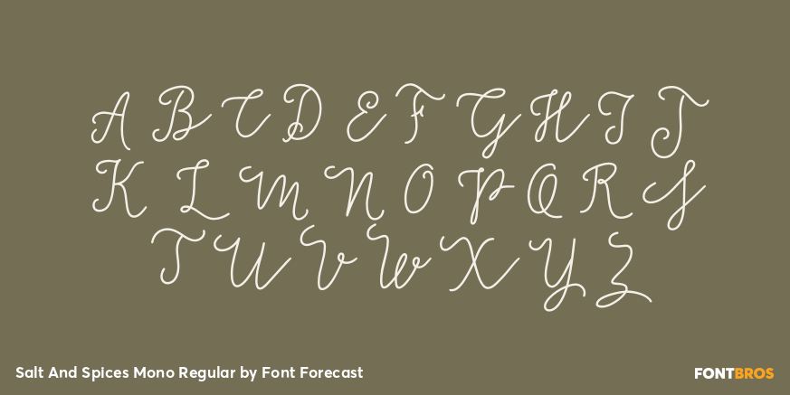 Salt And Spices Mono Regular Font Poster #2