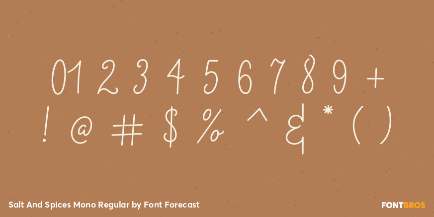 Salt And Spices Mono Regular Font Poster #4