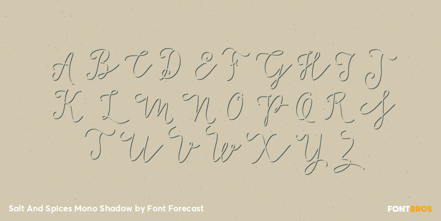 Salt And Spices Mono Shadow Font Poster #1