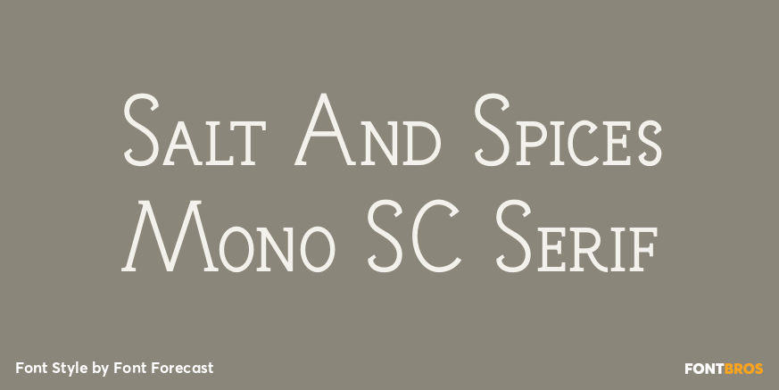 Salt And Spices Mono SC Serif Poster