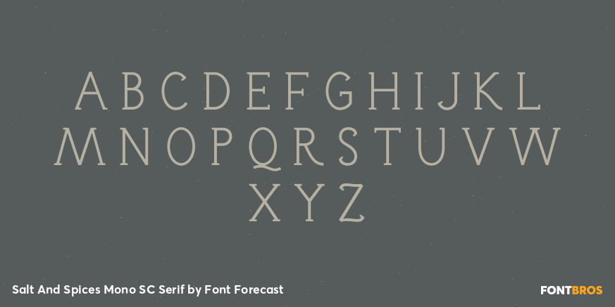 Salt And Spices Mono SC Serif Font Poster #2