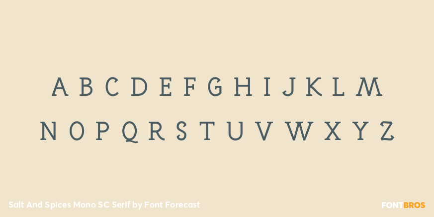 Salt And Spices Mono SC Serif Font Poster #3