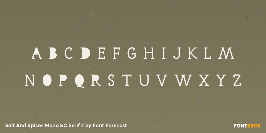 Salt And Spices Mono SC Serif 2 Font Poster #3