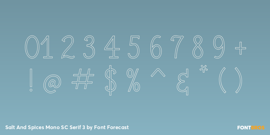 Salt And Spices Mono SC Serif 3 Font Poster #4